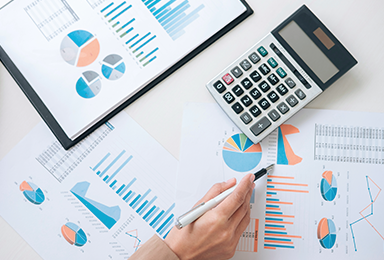 Course in Government Transition to Accrual Accounting