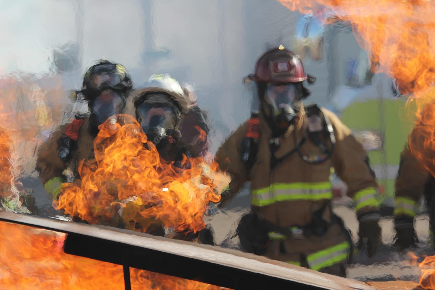 Crises, Disasters and Emerging Crimes Management