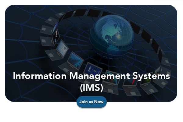 Information Management Systems (IMS)